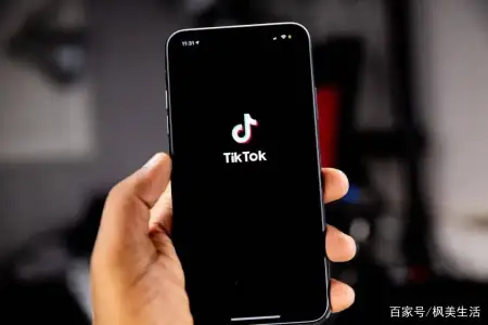 TikTok价值6亿欧元的欧洲数据中心，明年在都柏林投入运营